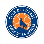 Home Team Flag