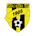 Home Team Flag