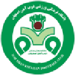 Home Team Flag
