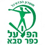 Home Team Flag