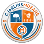 Home Team Flag