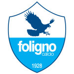 Home Team Flag