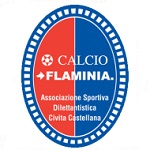 Away Team Flag