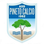 Home Team Flag