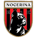 Home Team Flag