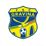 Home Team Flag