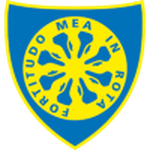 Home Team Flag