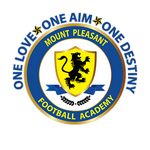 Home Team Flag