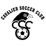 Away Team Flag