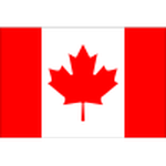 Home Team Flag