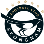 Home Team Flag