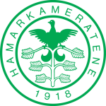 Home Team Flag