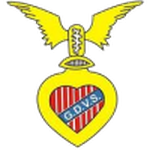 Away Team Flag