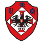 Home Team Flag