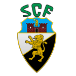 Home Team Flag