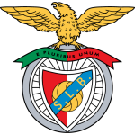 Home Team Flag