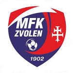 Home Team Flag