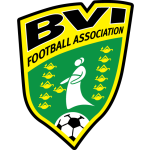 Home Team Flag