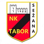 Home Team Flag