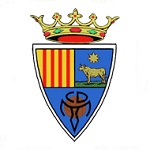 Home Team Flag
