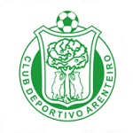 Home Team Flag