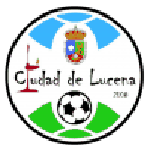 Home Team Flag