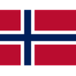 Home Team Flag