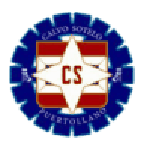 Away Team Flag