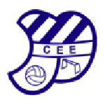 Home Team Flag