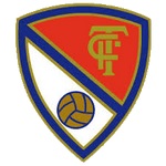 Away Team Flag