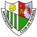 Away Team Flag