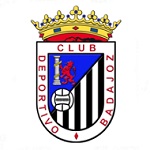 Home Team Flag