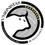 Home Team Flag