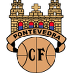 Home Team Flag
