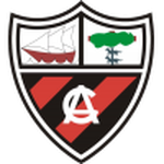 Home Team Flag