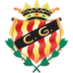 Away Team Flag