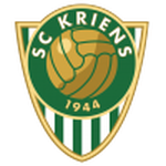 Home Team Flag