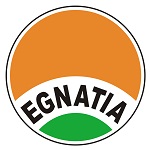 Home Team Flag