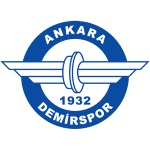 Home Team Flag