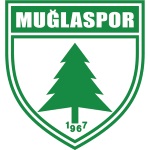 Away Team Flag