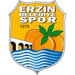 Away Team Flag