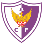 Away Team Flag