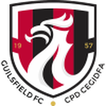 Home Team Flag
