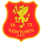 Home Team Flag