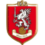 Away Team Flag