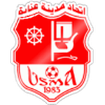 Home Team Flag