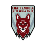 Home Team Flag