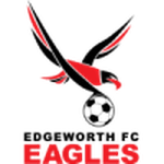 Home Team Flag