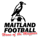 Away Team Flag