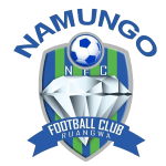 Home Team Flag